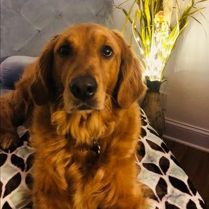 Meet your Posher, Benita